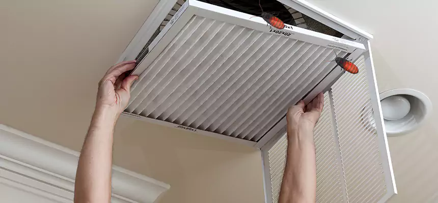 Preventive Cockroach-Proofing for Ducts in Sierra Vista