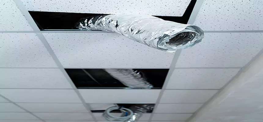 Affordable HVAC Sanitizing After Pest Removal in Sierra Vista