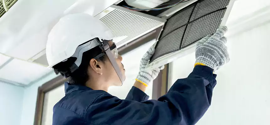 Our Mold & Mildew Removal from Air Ducts Services in Sierra Vista, AZ