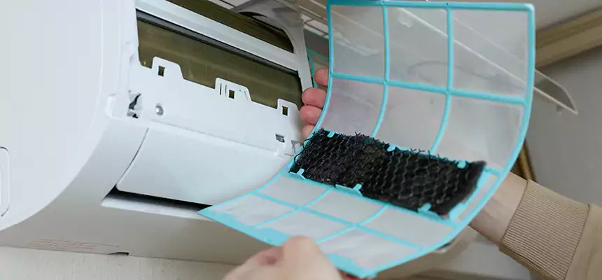 Gentle Ductwork Odor-Control Pet Dander Duct Cleaning in Sierra Vista, AZ