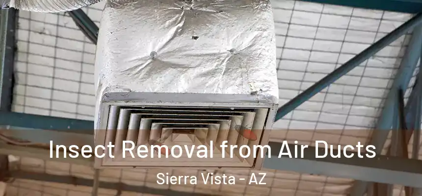  Insect Removal from Air Ducts Sierra Vista - AZ