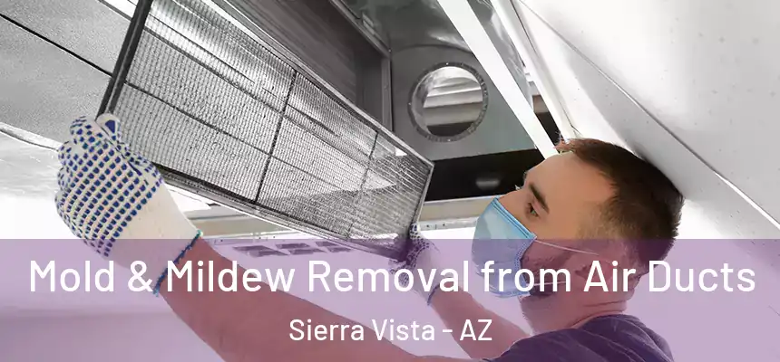  Mold & Mildew Removal from Air Ducts Sierra Vista - AZ