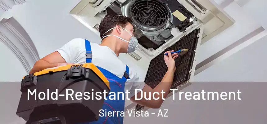  Mold-Resistant Duct Treatment Sierra Vista - AZ