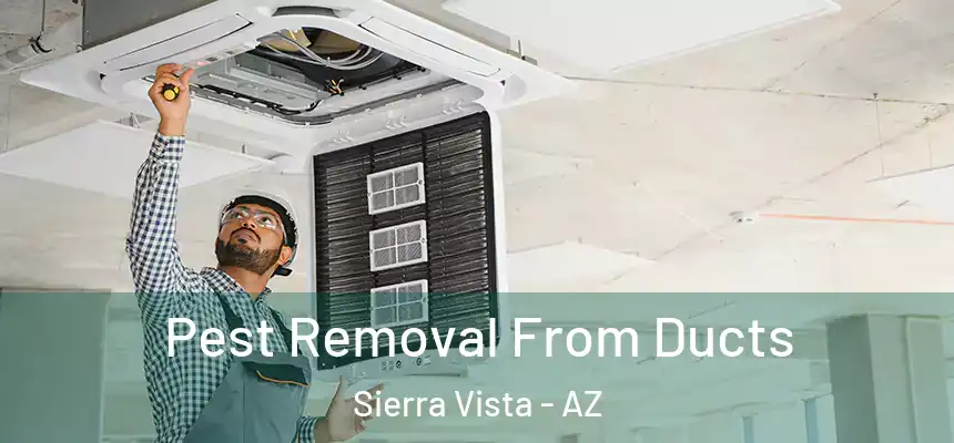Pest Removal From Ducts Sierra Vista - AZ
