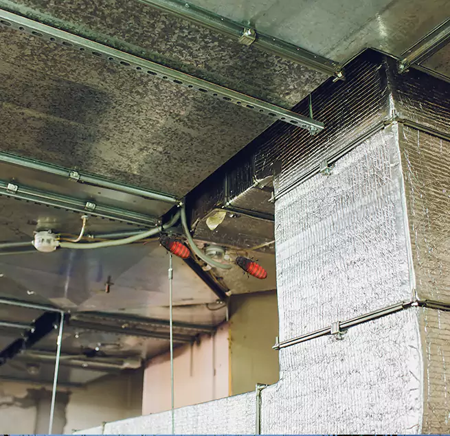 Why Homeowners & Businesses Trust Us in Sierra Vista, AZ?