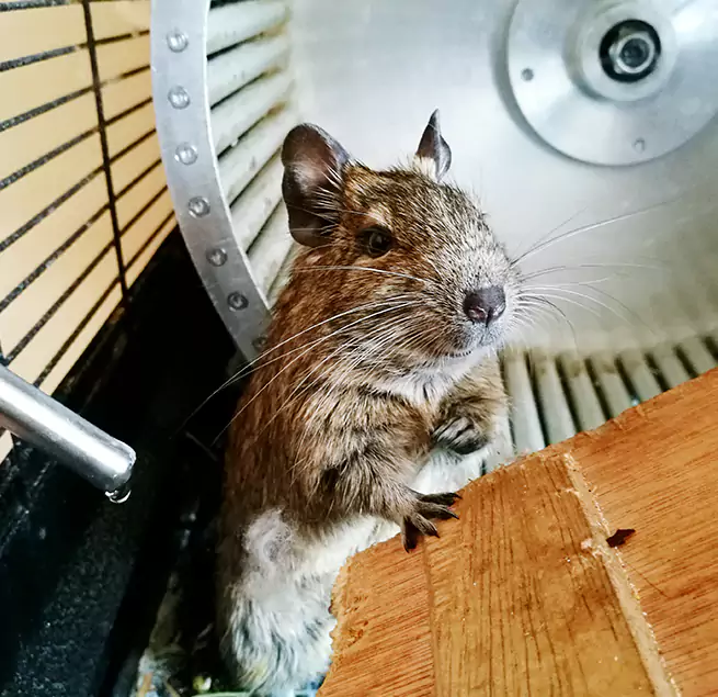 Why Homeowners & Businesses Trust Us Sierra Vista, AZ?