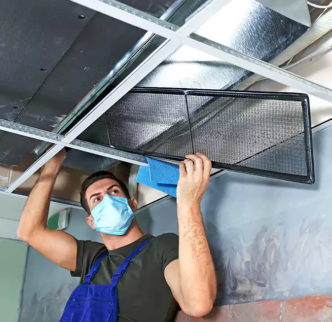 Why Homeowners Businesses Trust Us in Sierra Vista, AZ