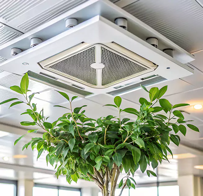 Why Homeowners & Businesses Trust Us in Sierra Vista, AZ